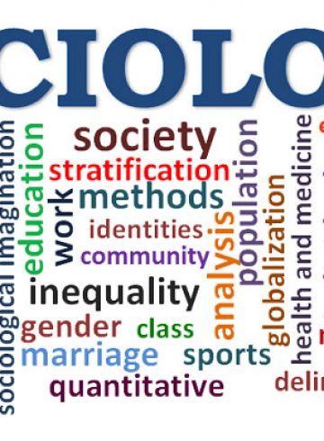 sociology jobs